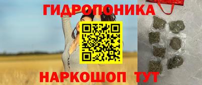 СК Обнинск