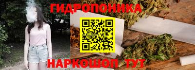 СК Обнинск