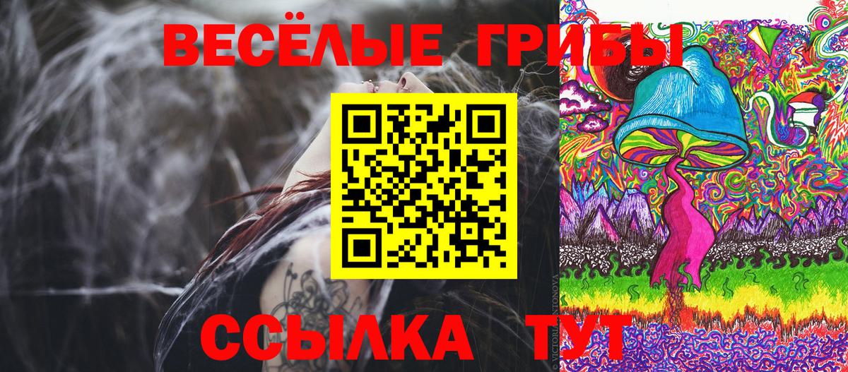 Галлюциногенные грибы GOLDEN TEACHER  Вход с VPN  Прохладный 